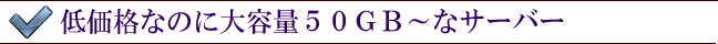 低価格なのに大容量