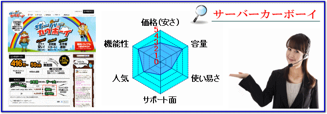 サーバーカーボーイ概要